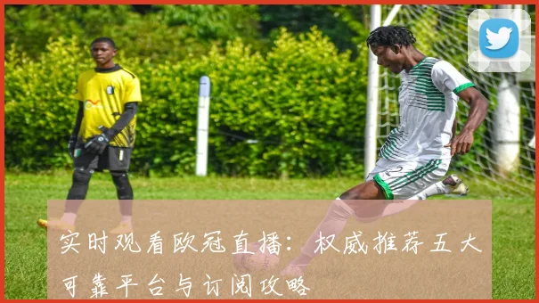 实时观看欧冠直播：权威推荐五大可靠平台与订阅攻略