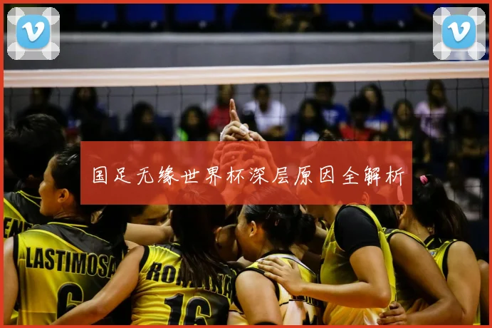国足无缘世界杯深层原因全解析
