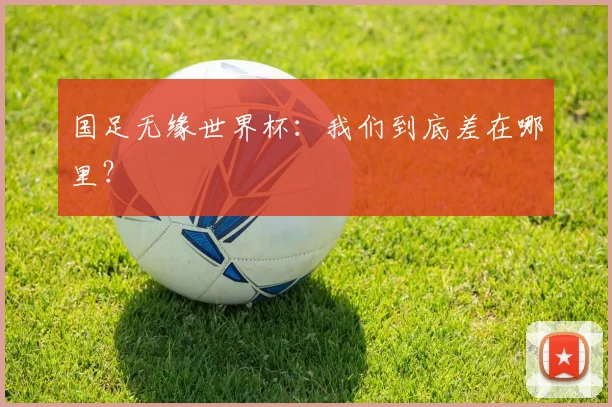 国足无缘世界杯：我们到底差在哪里？
