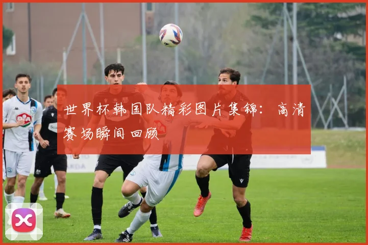 世界杯韩国队精彩图片集锦：高清赛场瞬间回顾
