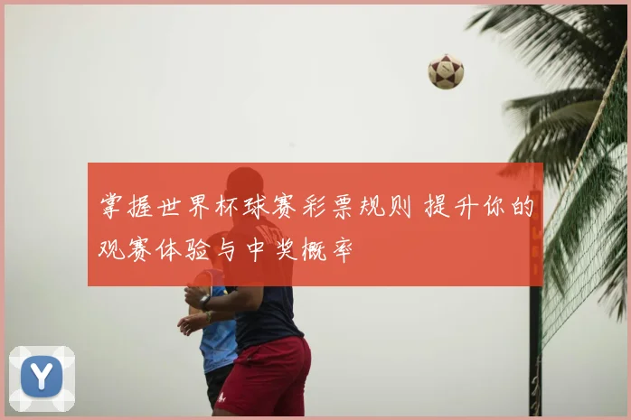 掌握世界杯球赛彩票规则 提升你的观赛体验与中奖概率