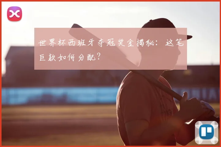 世界杯西班牙夺冠奖金揭秘:这笔巨款如何分配?
