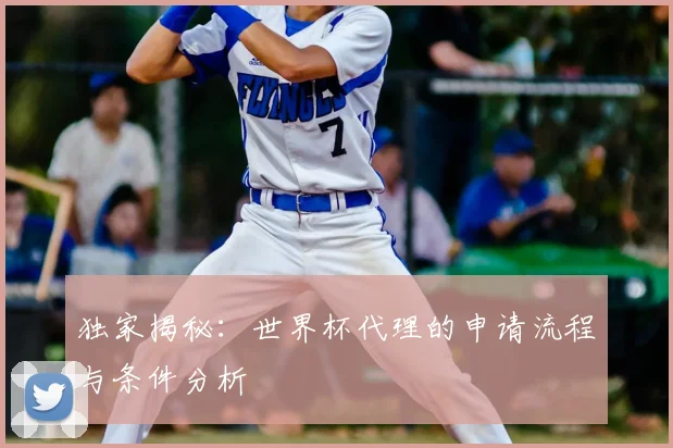 独家揭秘：世界杯代理的申请流程与条件分析