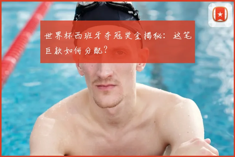 世界杯西班牙夺冠奖金揭秘:这笔巨款如何分配?
