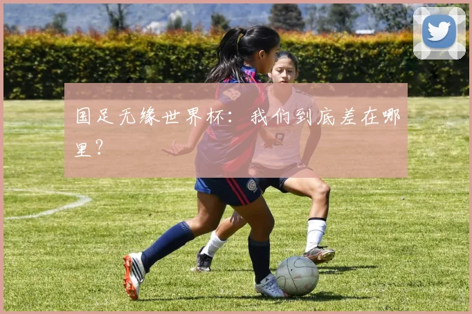 国足无缘世界杯：我们到底差在哪里？