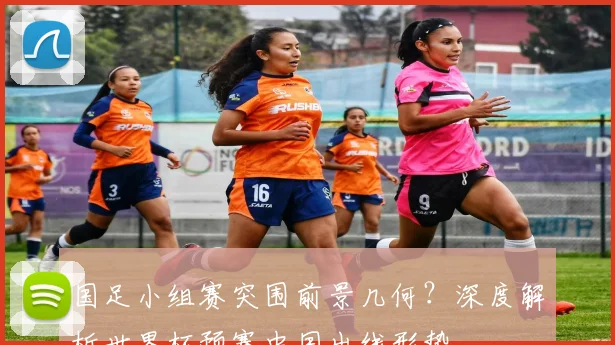 国足小组赛突围前景几何？深度解析世界杯预赛中国出线形势