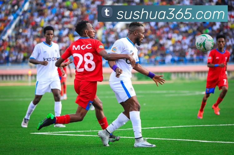 开云手机在线登录官网服务体系